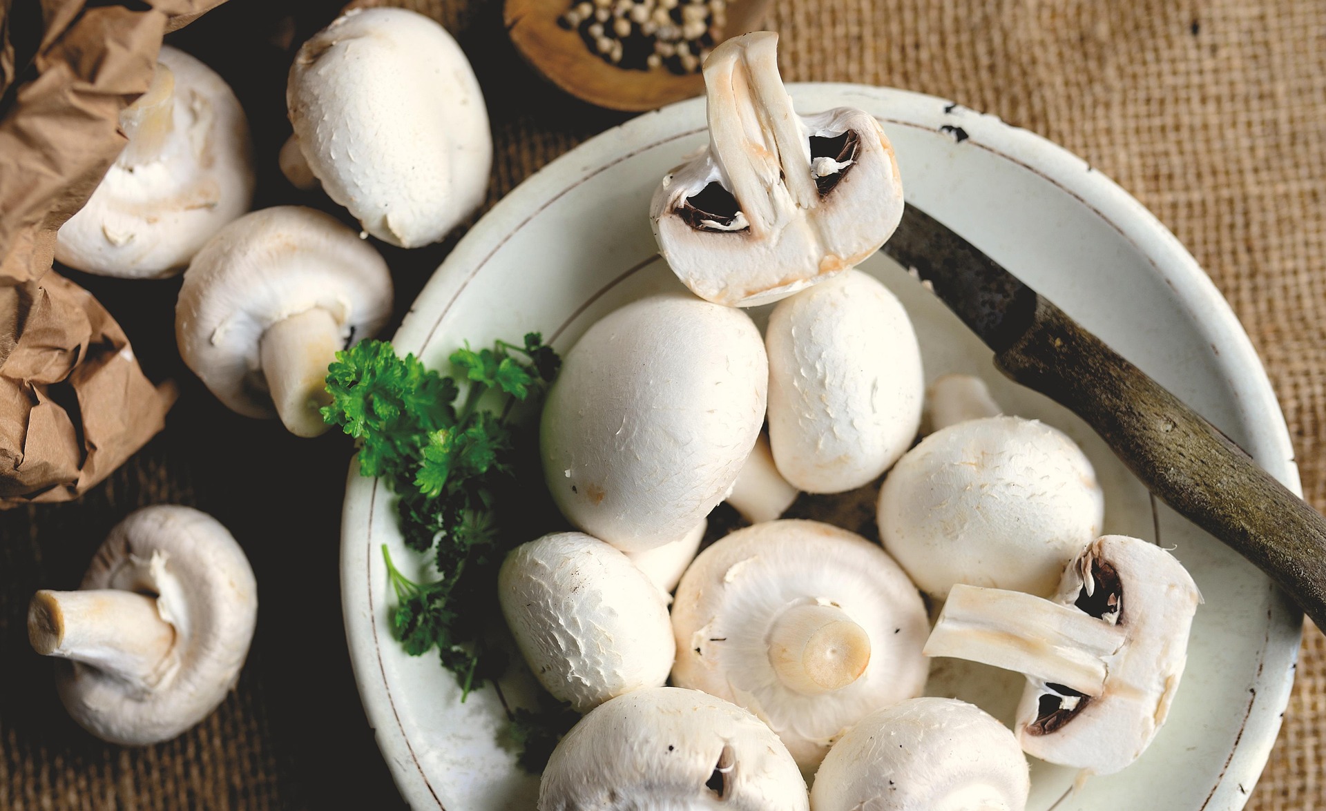 Vivamus tincidunt tincidunt dictum. Maecenas ac lectus quis risus scelerisque laoreet convallis eu tortor