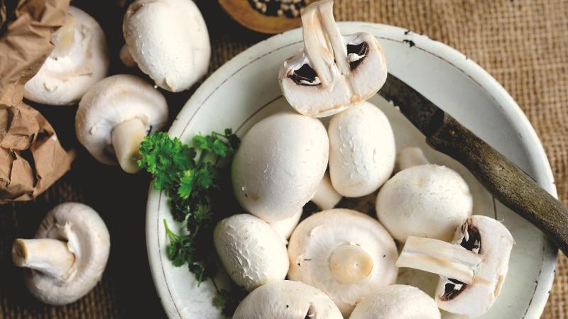 Vivamus tincidunt tincidunt dictum. Maecenas ac lectus quis risus scelerisque laoreet convallis eu tortor