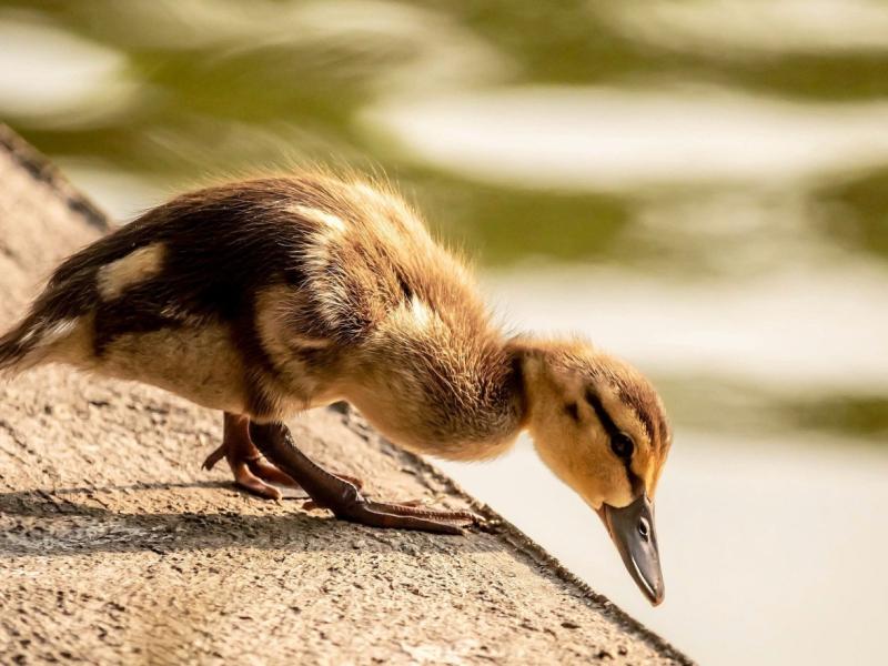 Artykuł z dowolnej kategorii przypisany czasowo do tej pozycji 2